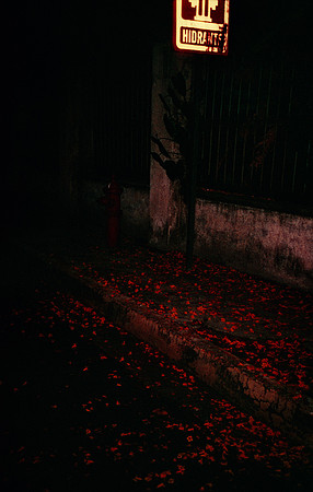 09 Natalia Mendoza - Harman Phoenix 200 por Arca Film Lab (Marzo 2025) - Rollo 0806