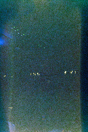 38 Jonathan Ismael Yoc Amber 200T Half Fram Individuales por Arca Film Lab (Abril 2024)