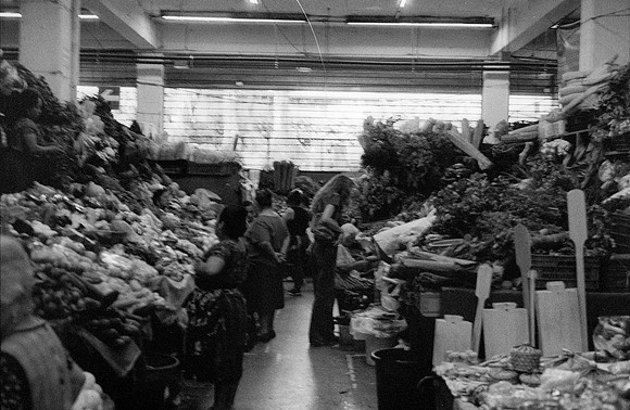 30 Alexander Daum - Ilford HP5+ 400 por Arca Film Lab (Noviembre 2024) - Rollo 0511