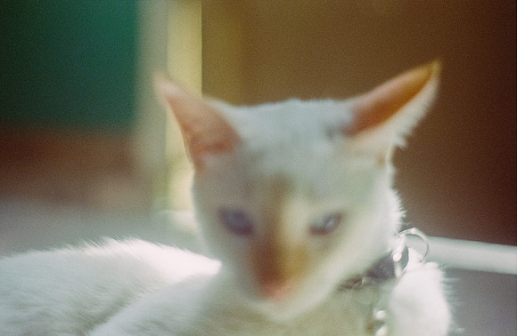 33 Abraham Castillo - Fujifilm 400 por Arca Film Lab (Junio 2025) - Rollo 1118