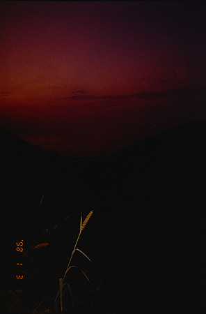 21 Sara Ortega - Kodacolor 200 por Arca Film Lab (Enero 2025) - Rollo 0560