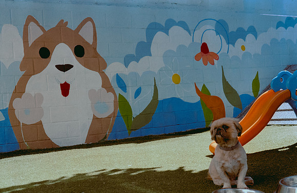 16 Denis Guerrero - Kodak Gold 200 por Arca Film Lab (Agosto 2024) - Rollo 0296