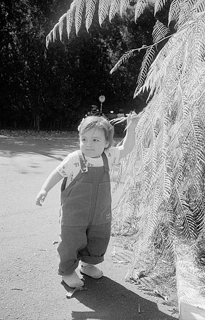 25 Mónica Minondo - Ilford HP5+ 400 por Arca Film Lab (Febrero 2025) - Rollo 0762