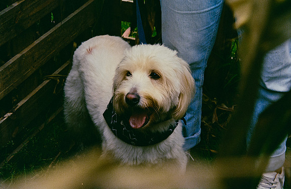 20 José Pérez - Kodak Gold 200 por Arca Film Lab (Enero 2025) - Rollo 0641