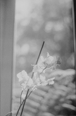 04 Steven Bickford -Ilford HP5+ 400 por Arca Film Lab (Marzo 2025) - Rollo 0830