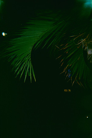 27 Gaby Rodríguez - Kodak Gold 200 por Arca Film Lab (Febrero 2025) - Rollo 0852