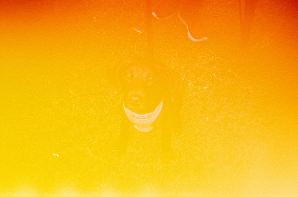 15 Andrea Osorio - Kodak Gold 200 por Arca Film Lab (Enero 2025) - Rollo 0638