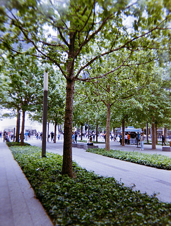 28 Luis Pedro Titus - Kodak Ultramax 400 por Arca Film Lab (Junio 2024) - Rollo 0092