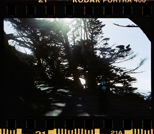20 Fernanda González - Kodak Portra 400 - Arca Film Lab (Mayo 2024) - Rollo 0052