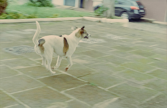 31 Iván Ortíz - Fujifilm 400 por Arca Film Lab (Diciembre 2024) - Rollo 0525