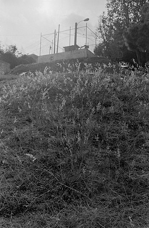 30 Fernando Peña - Ilford HP5 Plus 400 por Arca Film Lab (Enero 2024) - Rollo 0245