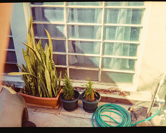 44 David Vela - Kodak Ultramax 400 por Arca Film Lab (Mayo 2025) - Rollo 1000