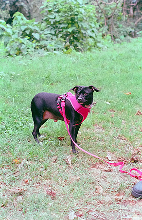 18 Shirley Rabanales - Fujifilm 400 por Arca Film Lab (Septiembre 2024) - Rollo 0373
