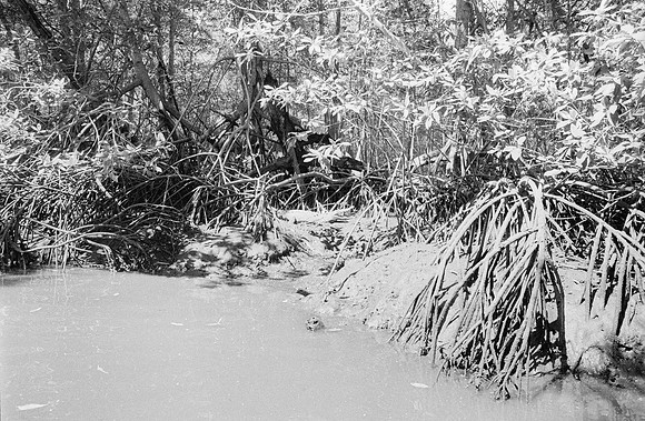 34 Guilia Trobbiani - Ilford HP5+ 400 por Arca Film Lab (Abril 2025) - Rollo 0932