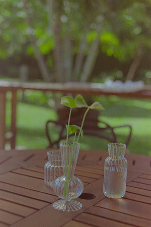 15 Christian Arriola - Kodak Gold 200 por Arca Film Lab (Agosto 2024) - Rollo 0232