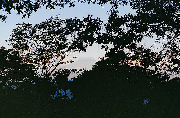 04 Harry Leath - Kodak Gold 200 por Arca Film Lab (Marzo 2025) - Rollo 0816