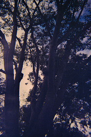 21 Marysol Dávila - Kodak Ultramax 400 por Arca Film Lab (Diciembre 2024) - Rollo 0549