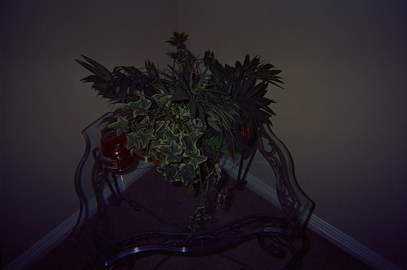 21 José González - Cinestill 800T por Arca Film Lab (Noviembre 2024) - Rollo 0468