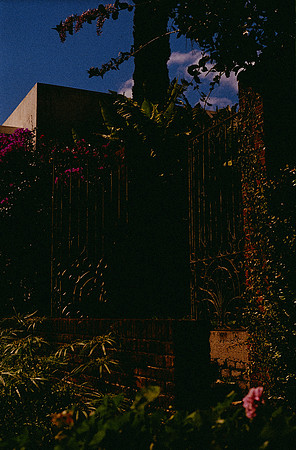 05 Alexander Daum - Fujifilm 200 por Arca Film Lab (Diciembre 2024) - Rollo 0559