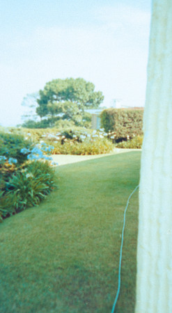 18 Alexander Daum - Kodak Gold 200 por Arca Film Lab (Abril 2025) - Rollo 0899