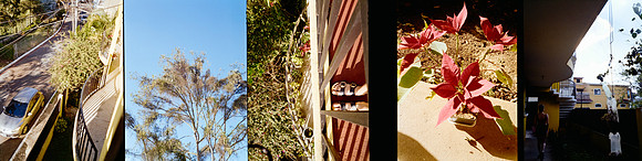 19 Gabriel Fuentes - Kodacolor 200 por Arca Film Lab (Enero 2025) - Rollo 0674