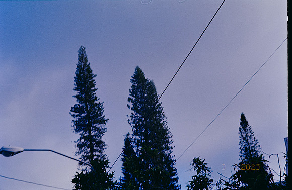 15 Mia YunLab - Kodak Ultramax 400 (Febrero 2025) - Rollo 0739