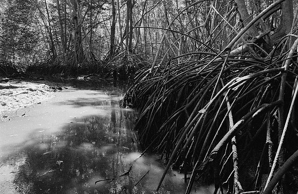 37 Guilia Trobbiani - Ilford HP5+ 400 por Arca Film Lab (Abril 2025) - Rollo 0932