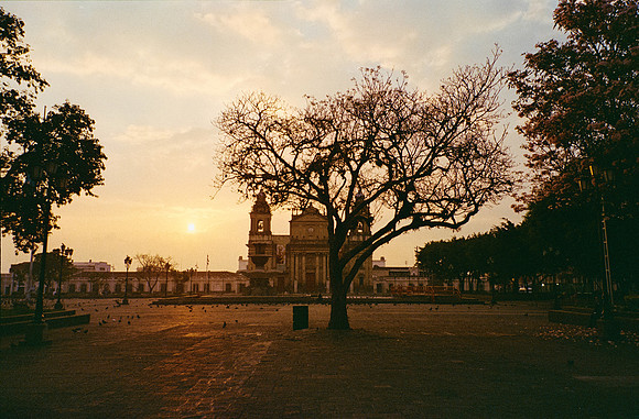 15 Ernesto Ábrego - Kodak Ultramax 400 por Arca Film Lab (Mayo 2025) - Rollo 1081