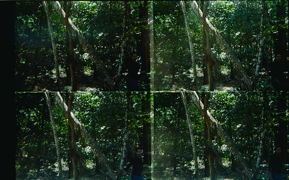30 Natalia Mendoza - Kodak Gold 200 por Arca Film Lab (Mayo 2025) - Rollo 1018
