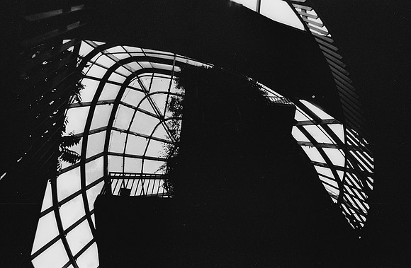 05 Ovald Barrientos - Fomapan 100 por Arca Film Lab (Marzo 2025) - Rollo 0856
