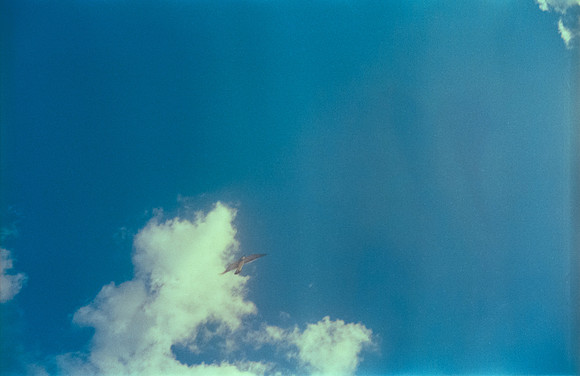 16 Carlos Siri - Kodak Ultramax 400 por Arca Film Lab (Julio 2024) - Rollo 0189