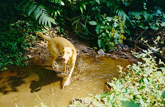 14 Pablo Marroquín - Fujifilm 400 por Arca Film Lab (Marzo 2025) - Rollo 0842