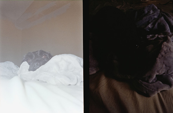 15 Sofía Castro - Kodak Gold 200 por Arca Film Lab (Febrero 2025) - Rollo 0725