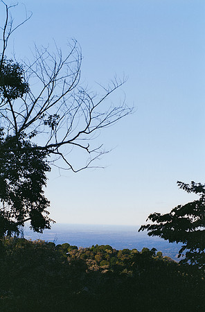 08 Harry Leath - Kodak Gold 200 por Arca Film Lab (Marzo 2025) - Rollo 0816