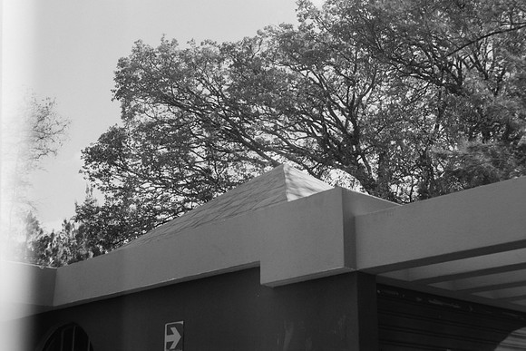 19 Iván Ortíz - Ilford Panf Plus 50 por Arca Film Lab (Abril 2024)