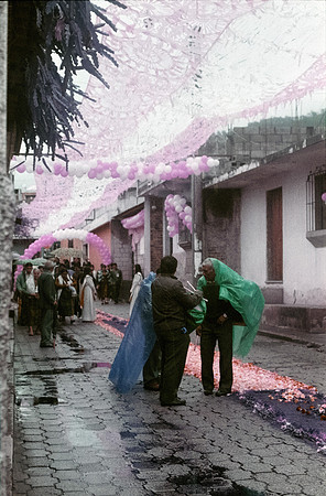 15 Lisa Santos - Lomography Purple por Arca Film Lab (Julio 2024) - Rollo 0153