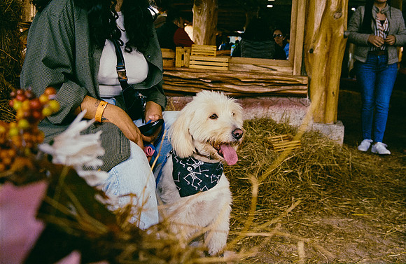 22 José Pérez - Kodak Gold 200 por Arca Film Lab (Enero 2025) - Rollo 0641