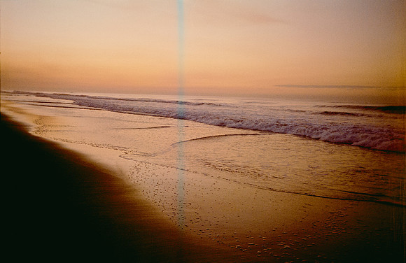 01 Jazmine Sousa - Kodak Gold 200 por Arca Film Lab (Marzo 2025) - Rollo 0847
