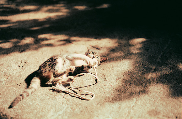 14 Emerson Quintanilla - Fujifilm 200 por Arca Film Lab (Abril 2025) - Rollo 0907