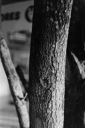 11 Pablo Josué Noack - Ilford HP5 Plus 400 por Arca Film Lab (Mayo 2024) - Rollo 0076