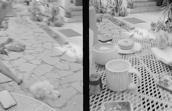 34 Natalia Mendoza - Kentmere Pan 400 por Arca Film Lab (Enero 2025) - Rollo 0696