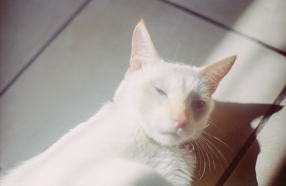29 Abraham Castillo - Fujifilm 400 por Arca Film Lab (Junio 2025) - Rollo 1118
