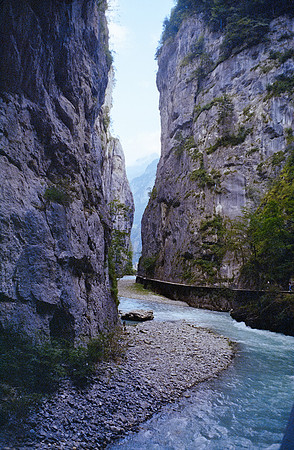 19 María Olga Samperio - Kodacolor 200 por Arca Film Lab (Enero 2025) - Rollo 0677