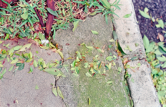 28 Shirley Rabanales - Fujifilm 400 por Arca Film Lab (Septiembre 2024) - Rollo 0373