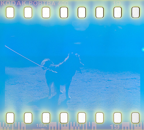 14 Omar Véliz - Kodak Portra 400 por Arca Film Lab (Agosto 2024) - Rollo 0300