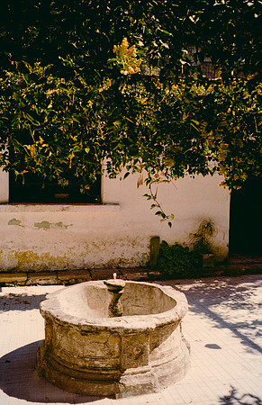34 Jazmine Sousa - Kodak Gold 200 por Arca Film Lab (Marzo 2025) - Rollo 0847
