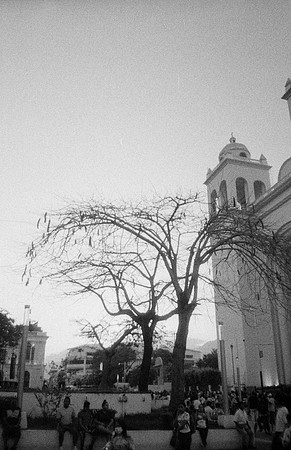 07 Desirée Argueta - Kentmere Pan 400 por Arca Film Lab (Enero 2025) - Rollo 0572