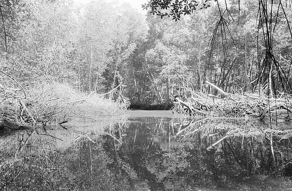 33 Guilia Trobbiani - Ilford HP5+ 400 por Arca Film Lab (Abril 2025) - Rollo 0932
