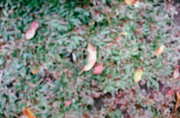 02 Dieter Loesener - Kodak Portra 400 por Arca Film Lab (Agosto 2024) - Rollo 0305
