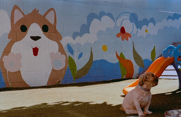 13 Denis Guerrero - Kodak Gold 200 por Arca Film Lab (Agosto 2024) - Rollo 0296
